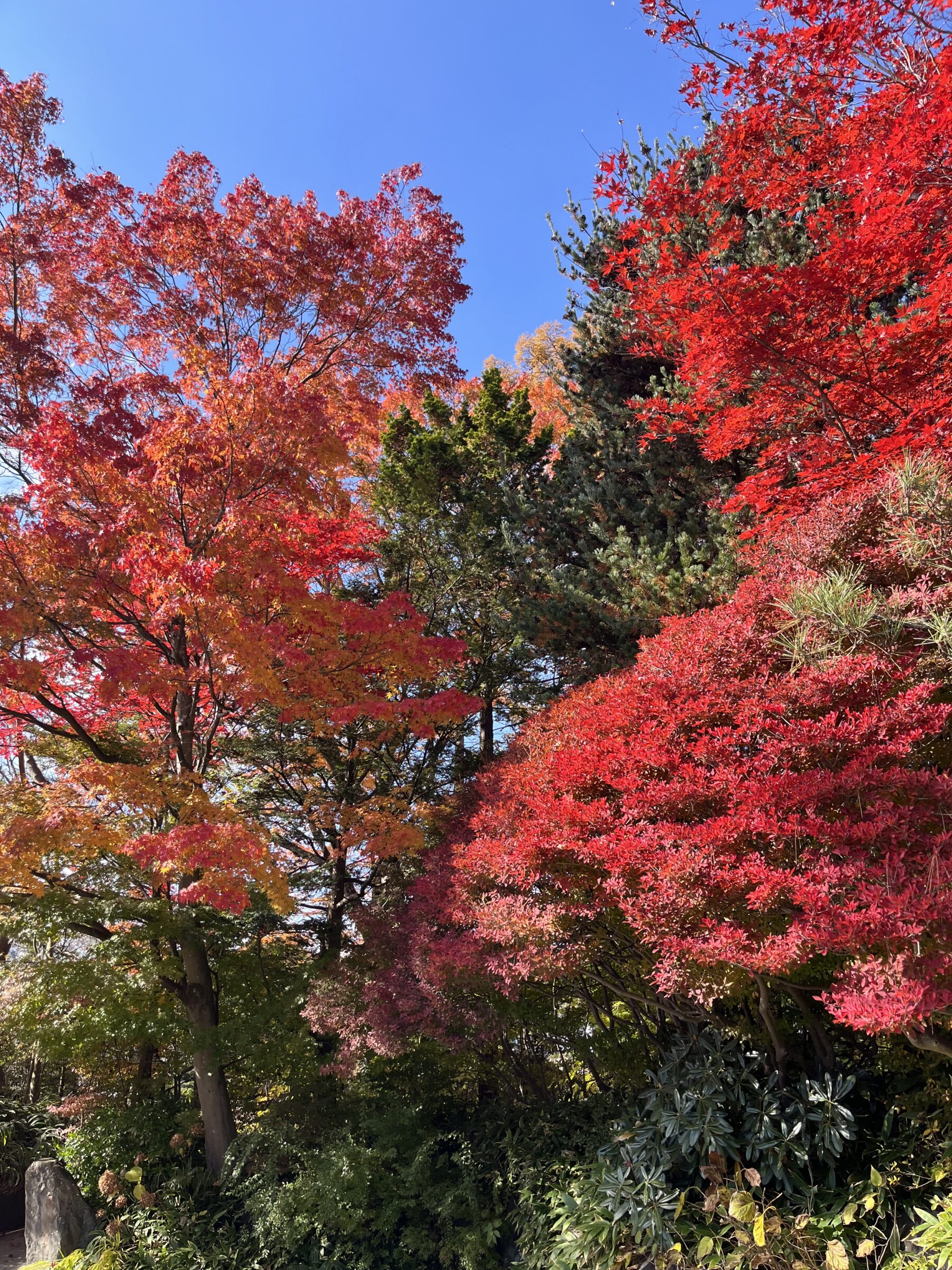 介護士の‟まなたび” in 軽井沢