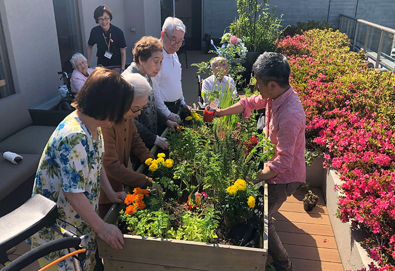 「園芸セラピー」植物のチカラを借りて暮らし豊かに