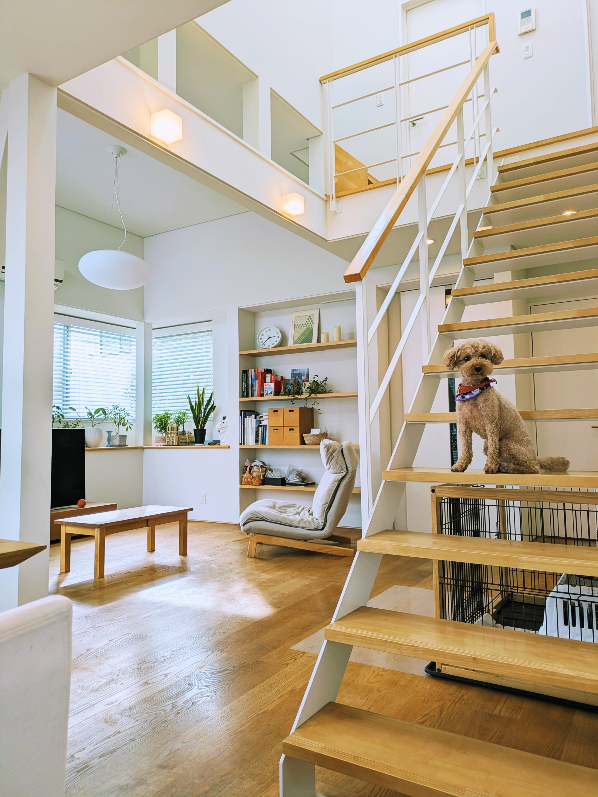 番頭さんは一級建築士！～設計のプロってどんな家に住んでいるの