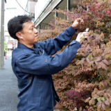 植栽管理